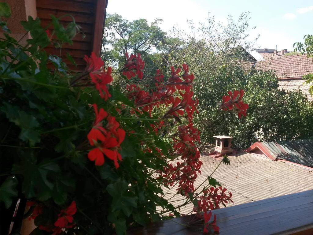 Pensiunea Lorincz *** Panzio Sovata Exterior foto