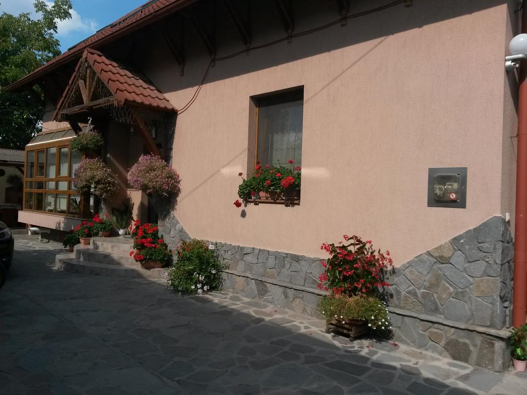 Pensiunea Lorincz *** Panzio Sovata Exterior foto