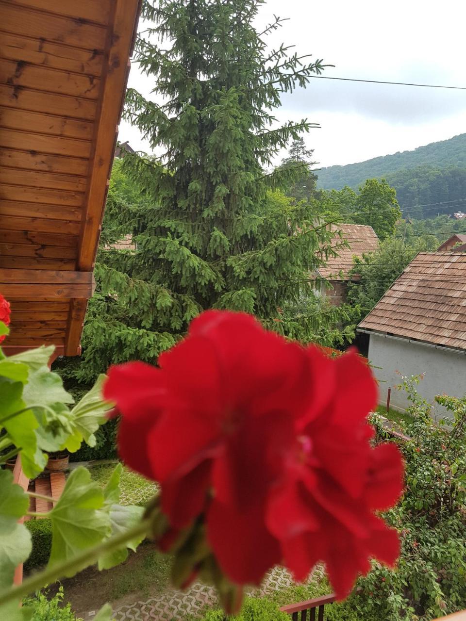 Pensiunea Lorincz *** Panzio Sovata Exterior foto